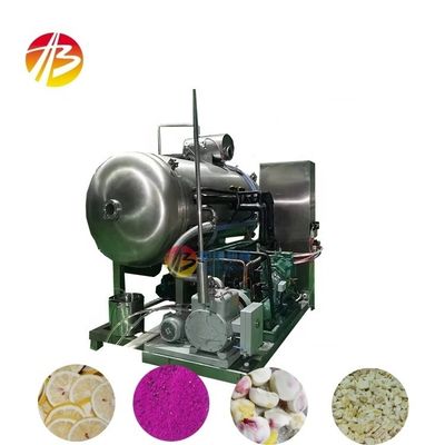 Voedingsmiddelen- en drankenindustrie Vacuüm vriesdrogmachines voor groenten en fruit Zeevruchten