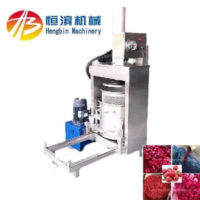 200 kg/uur Commerciële Hydraulische Ananas Mango Sellerie Aardbeien Citroen Appel Banana Peer Juicer Press Machine