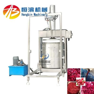 200 kg/uur Commerciële Hydraulische Ananas Mango Sellerie Aardbeien Citroen Appel Banana Peer Juicer Press Machine