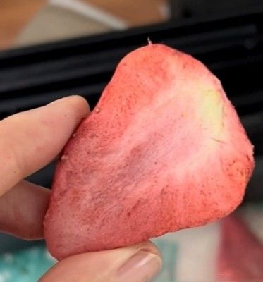 10 kg per partij Vacuüm vriesdroger voor grootschalige verwerking van groenten en fruit