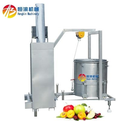 Mango Ananas Tomato Blueberry Juicer met 15%-20% hogere opbrengst en extractiepercentage