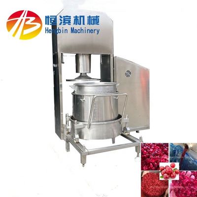 Mango Ananas Tomato Blueberry Juicer met 15%-20% hogere opbrengst en extractiepercentage