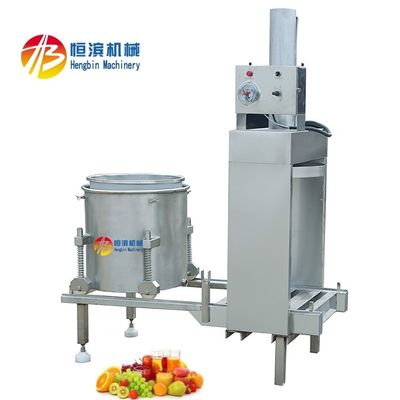 Industriële hydraulische sapper voor druiven watermeloen mango ananas tomaten aardbei