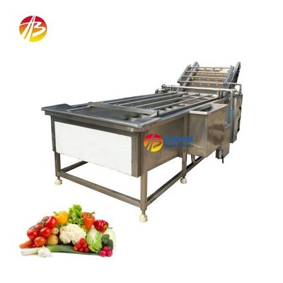 Fabriek 304 roestvrij staal Fruit and Vegetable Washing Machine