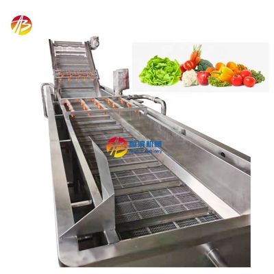 1000 kg/uur capaciteit luchtbelwasmachine voor groenten en fruit voor de industriële markt