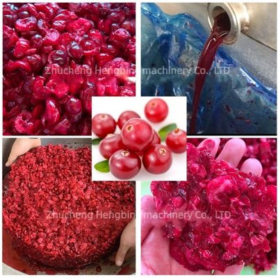 Hydraulische 304 roestvrij staal koudpersjuicer voor zuivelproducten