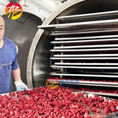 200 kg per partij Hoogproductieve commerciële vriesdrogemachine voor eenvoudige bediening