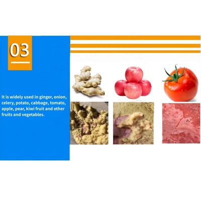 Commerciële 3 kW aardappelappel tomatenbreker voor de verwerking van groenten en fruit