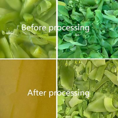 SUS304 Commerciële hydraulische koudpersjuicer voor het extraheren van groenten- en fruitsaus
