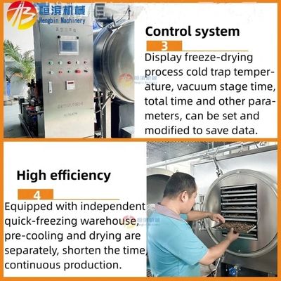 Makkelijk te bedienen vacuümvriezen gedroogde voedselmachine met hoge productiviteit en pre-vriezen