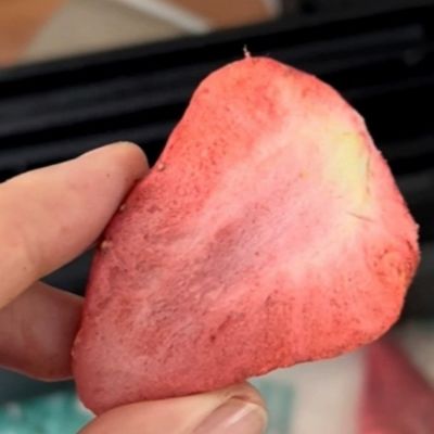 Vacuümvries-dehydratatieapparatuur voor fruit- en groentevlees in commerciële omgevingen